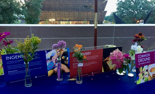 IMG_6285FoodInTheGarden